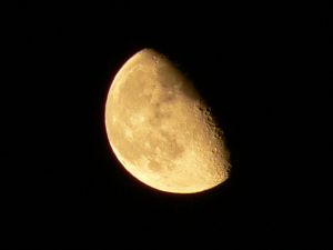 Moon-Moonlight